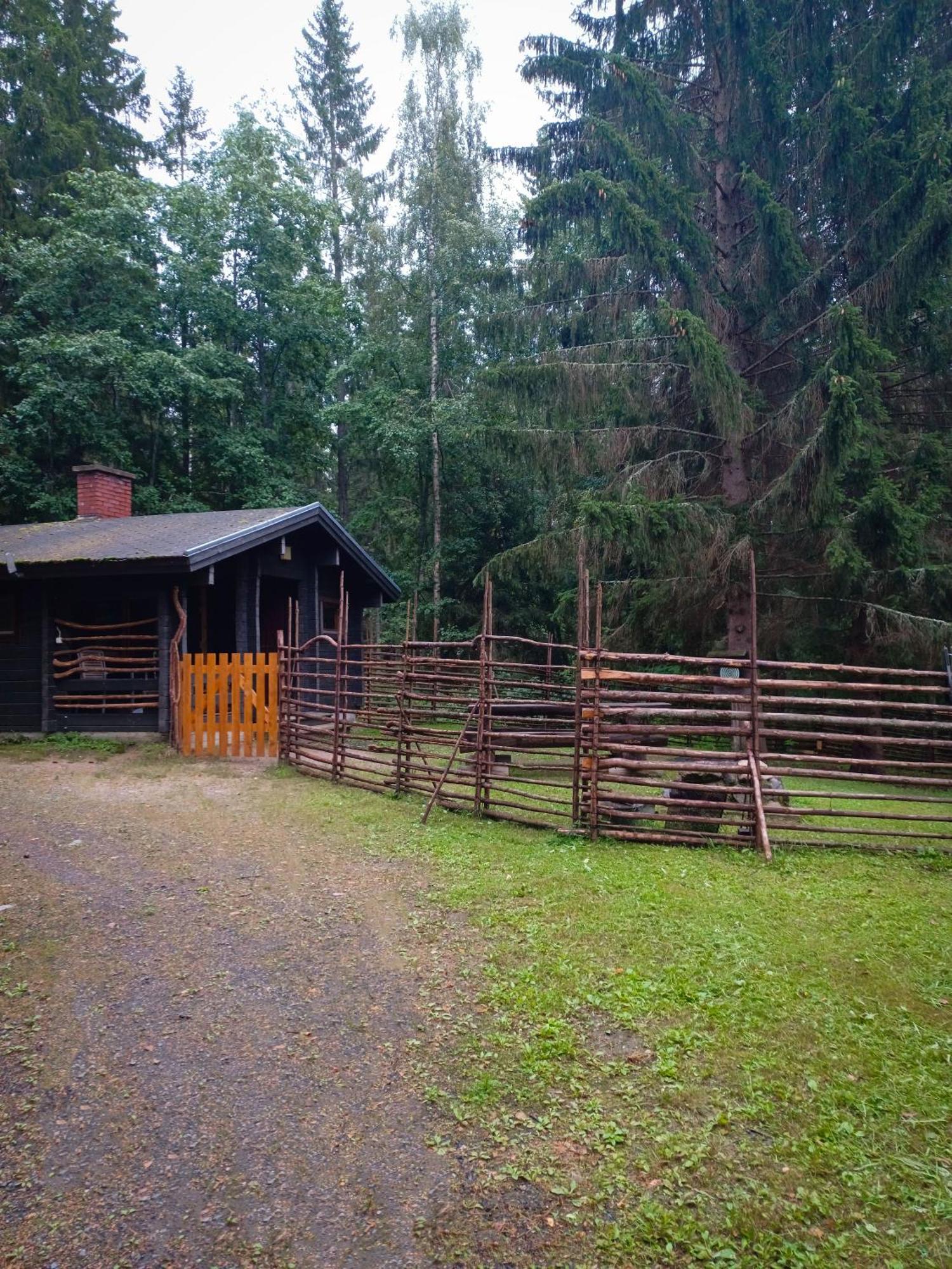 Accommodation And Fishing Vonkale Äänekoski Exteriör bild